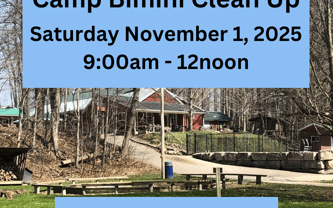 Camp Bimini Clean Up