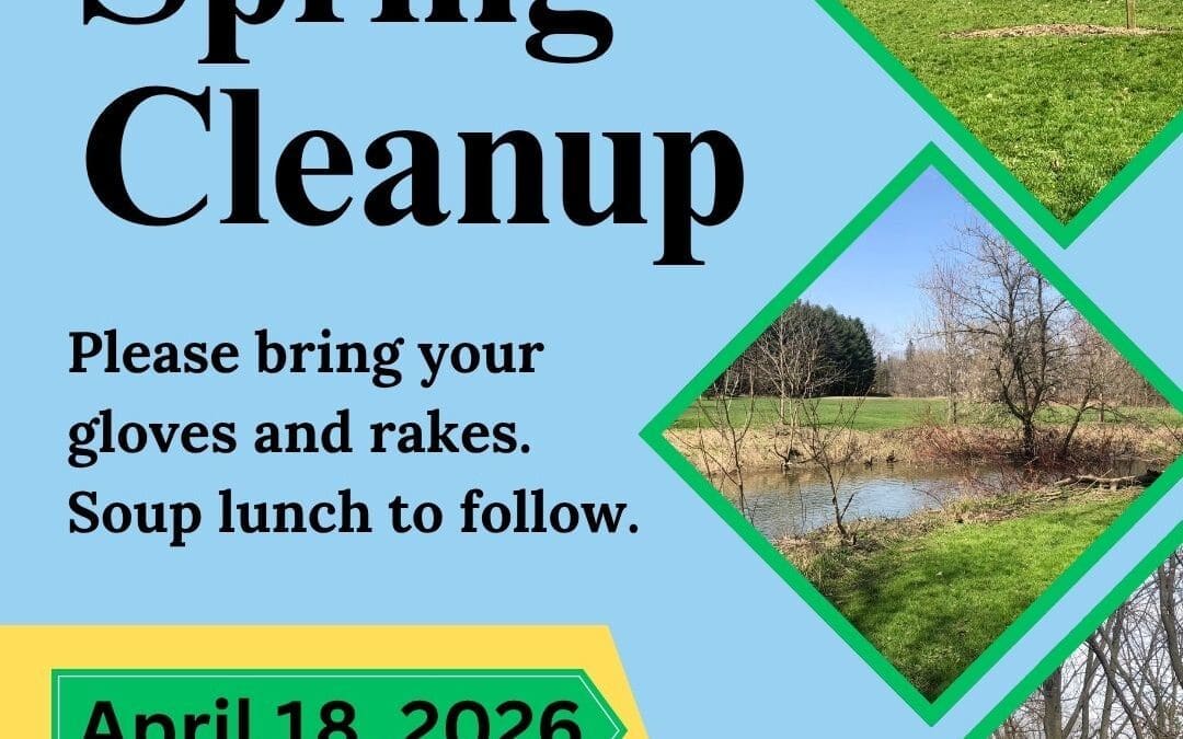 Spring Cleanup Poster
